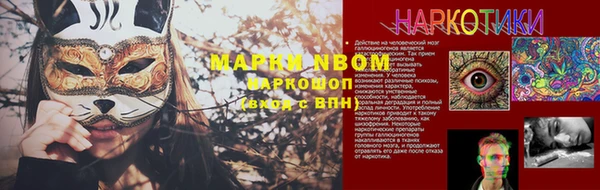 бошки Володарск