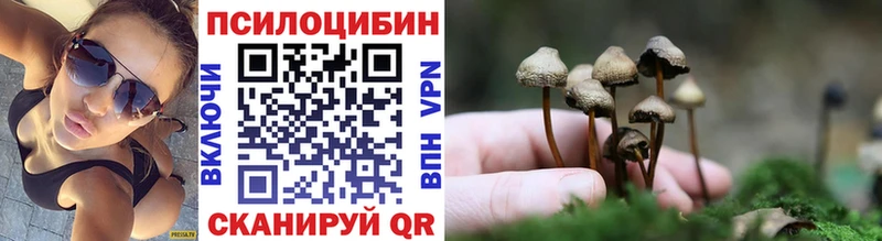 дарк нет Telegram  Дорогобуж  Галлюциногенные грибы мицелий 